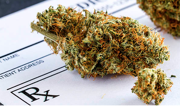 Webinar: The Future of Cannabis in America @ Webinar: Online