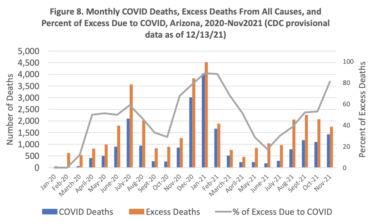REPORT: Arizona Had the Largest Percent Increase in Excess Deaths of Any State