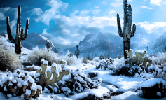 The Hertel Report Winter State of the State Conference